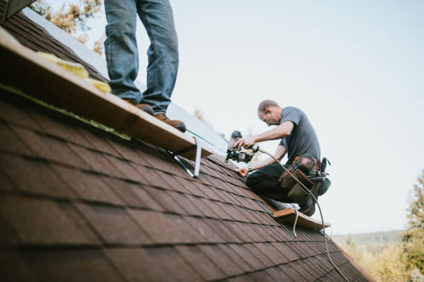 Best Gutter Installation and Roofing  in Pine Crest, TN
