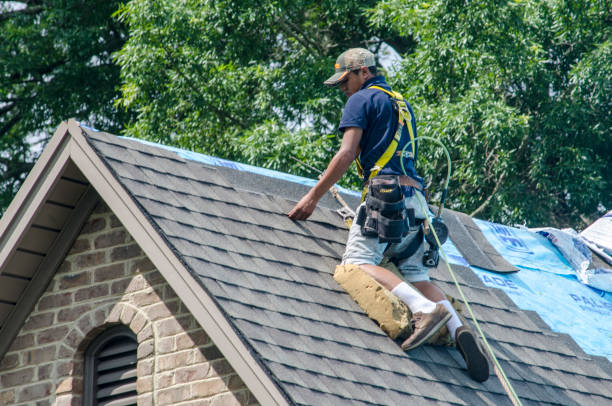 Best Storm Damage Roof Repair  in Pine Crest, TN