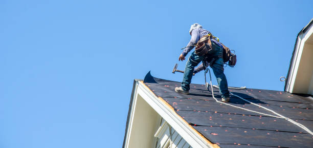 Best Roof Gutter Cleaning  in Pine Crest, TN